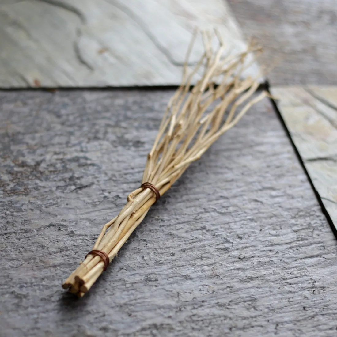 Birch Twig Whisk