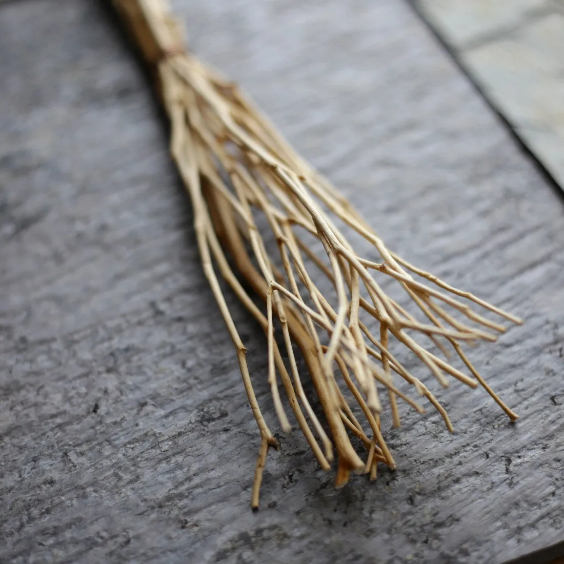 Birch Twig Whisk