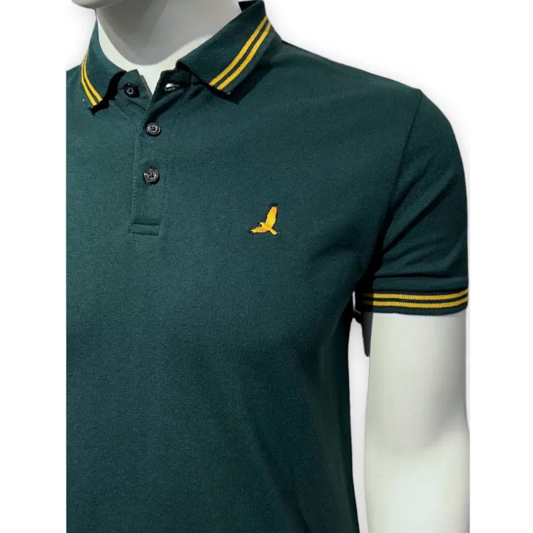 BS - Men 'Green' With Collar Stripe Slim Fit Polo BS76