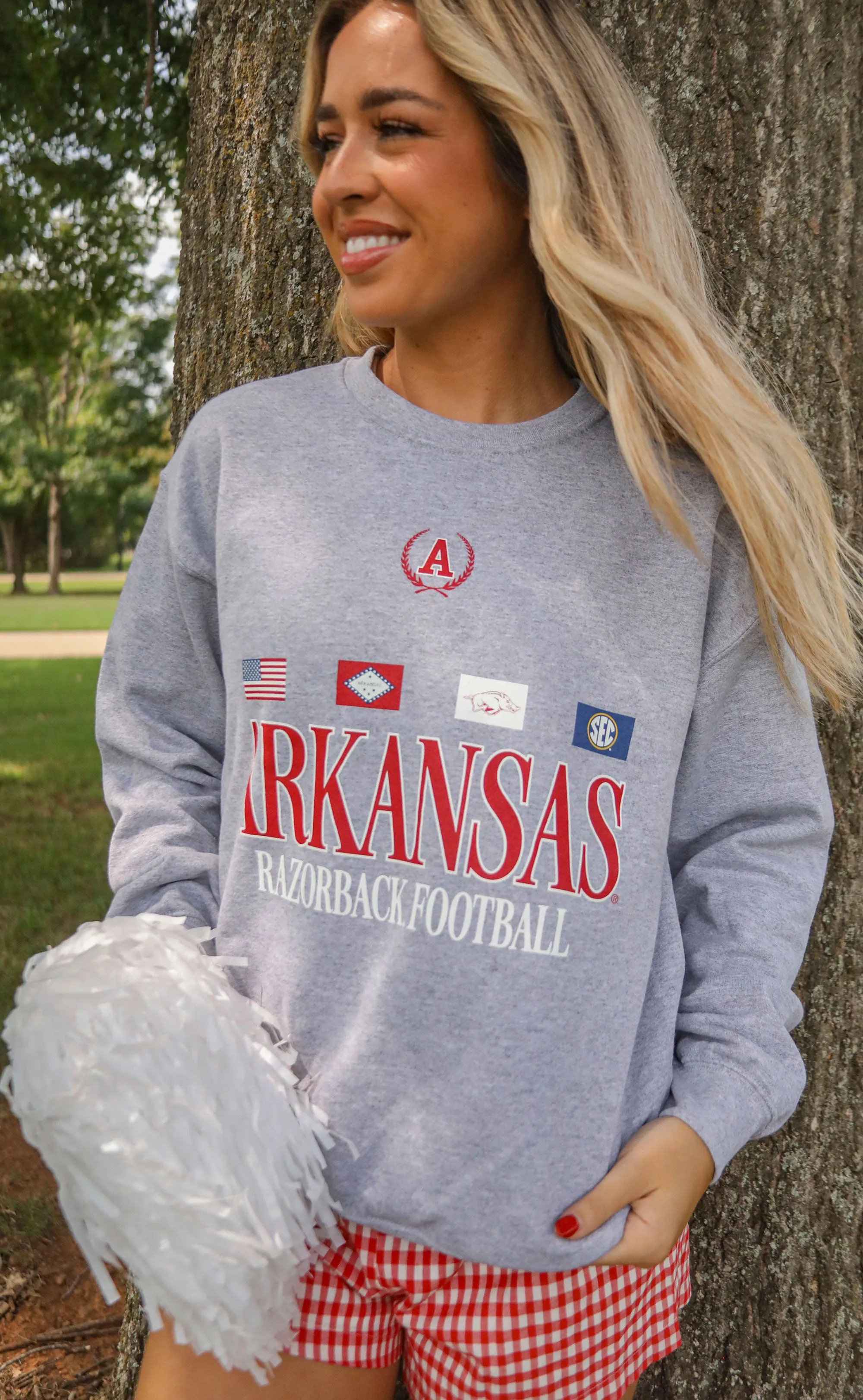 charlie southern: arkansas flag sweatshirt