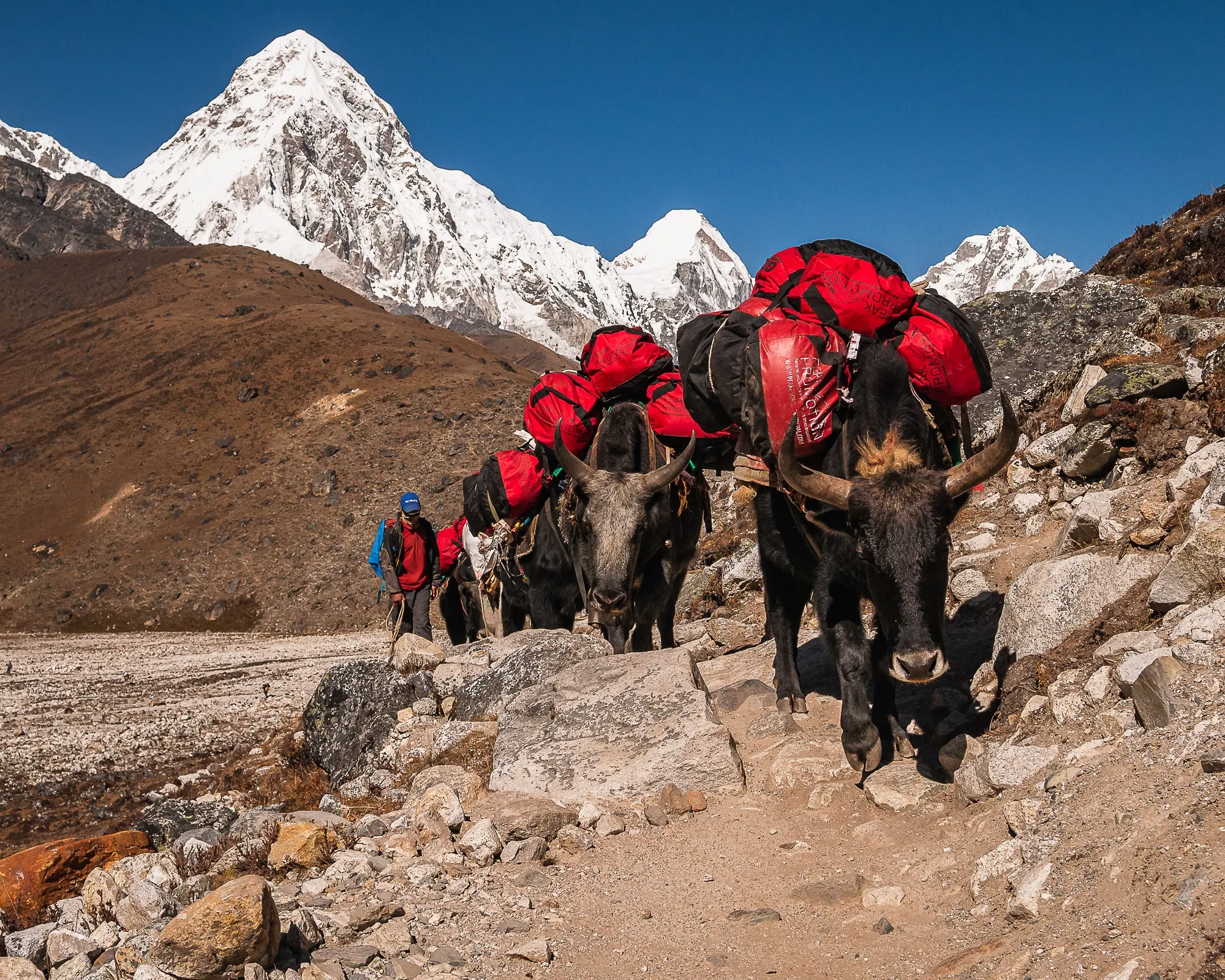 Everest Base Camp Trek - 16 Days