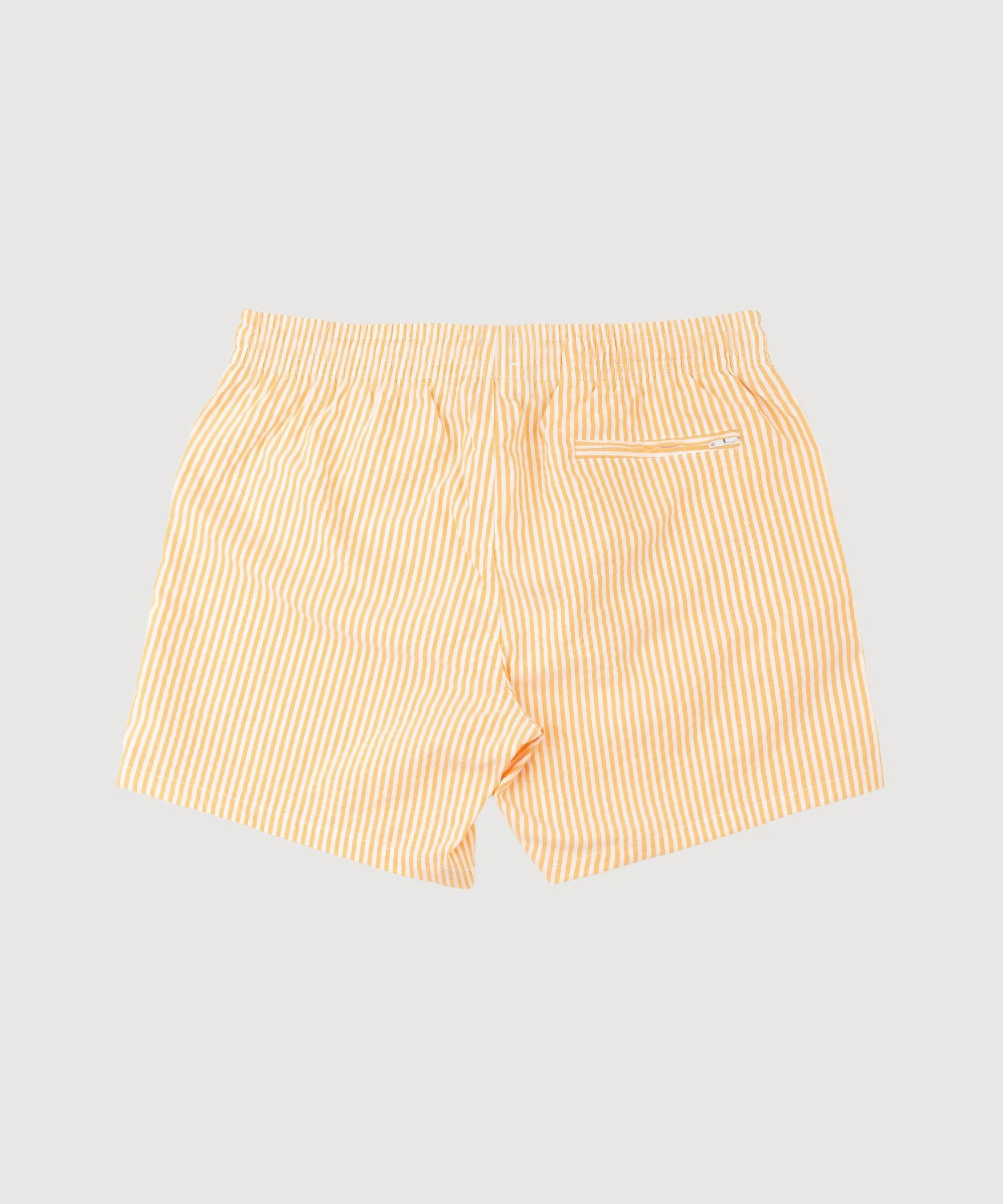 Striped Swim Shorts